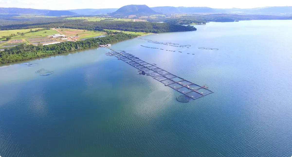 Aeroportos da Amazônia promovem Semana do Meio Ambiente com oficinas e palestras