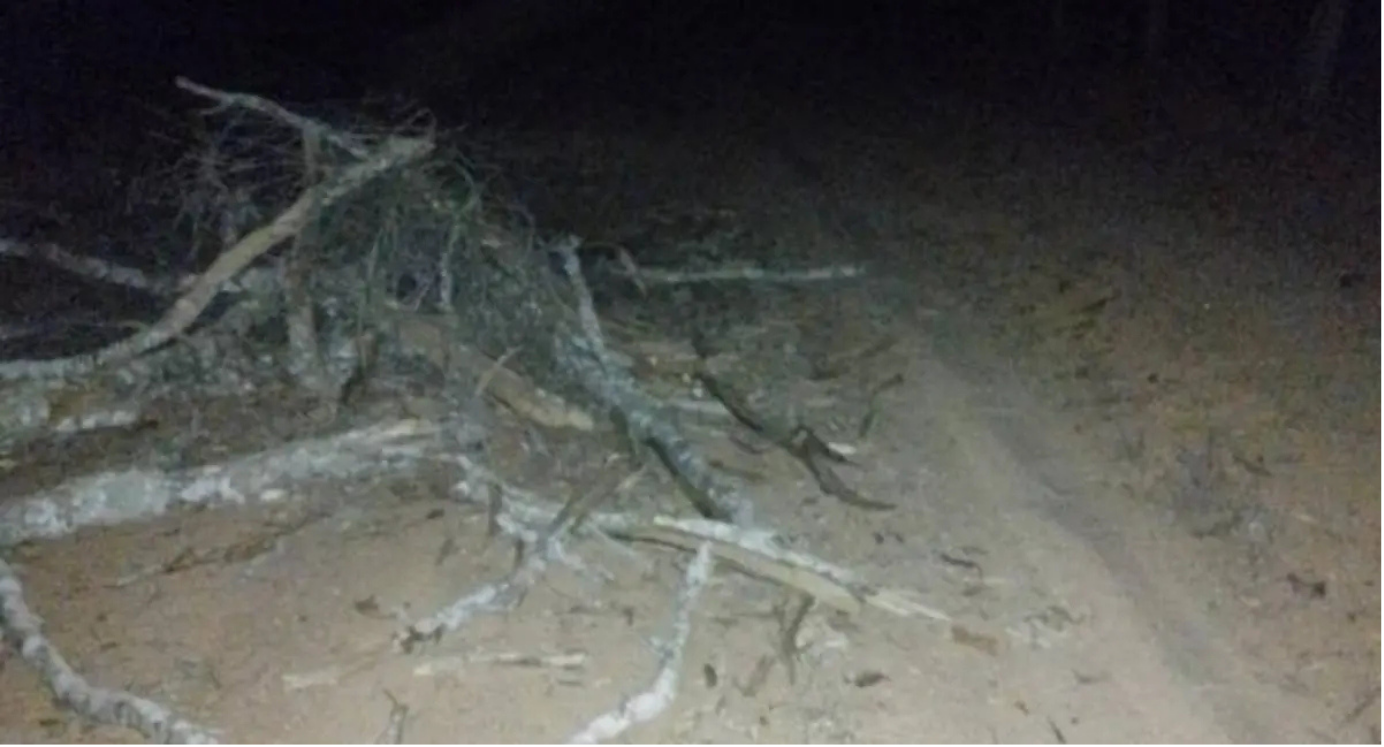 Casal fica ferido após queda de motocicleta em estrada de Theobroma