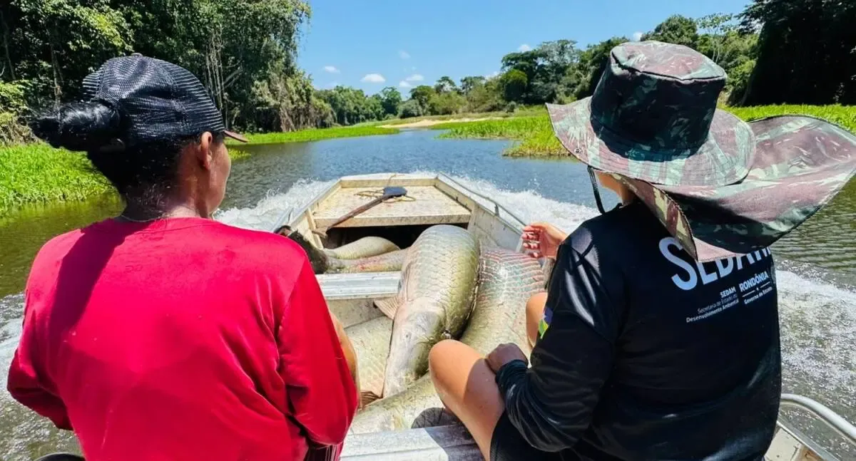 Pesca manejada no Rio Cautário retira 2,5 toneladas de peixes