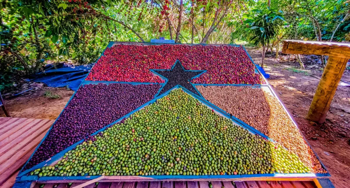 Rondônia se torna referência nacional em sanidade agropecuária
