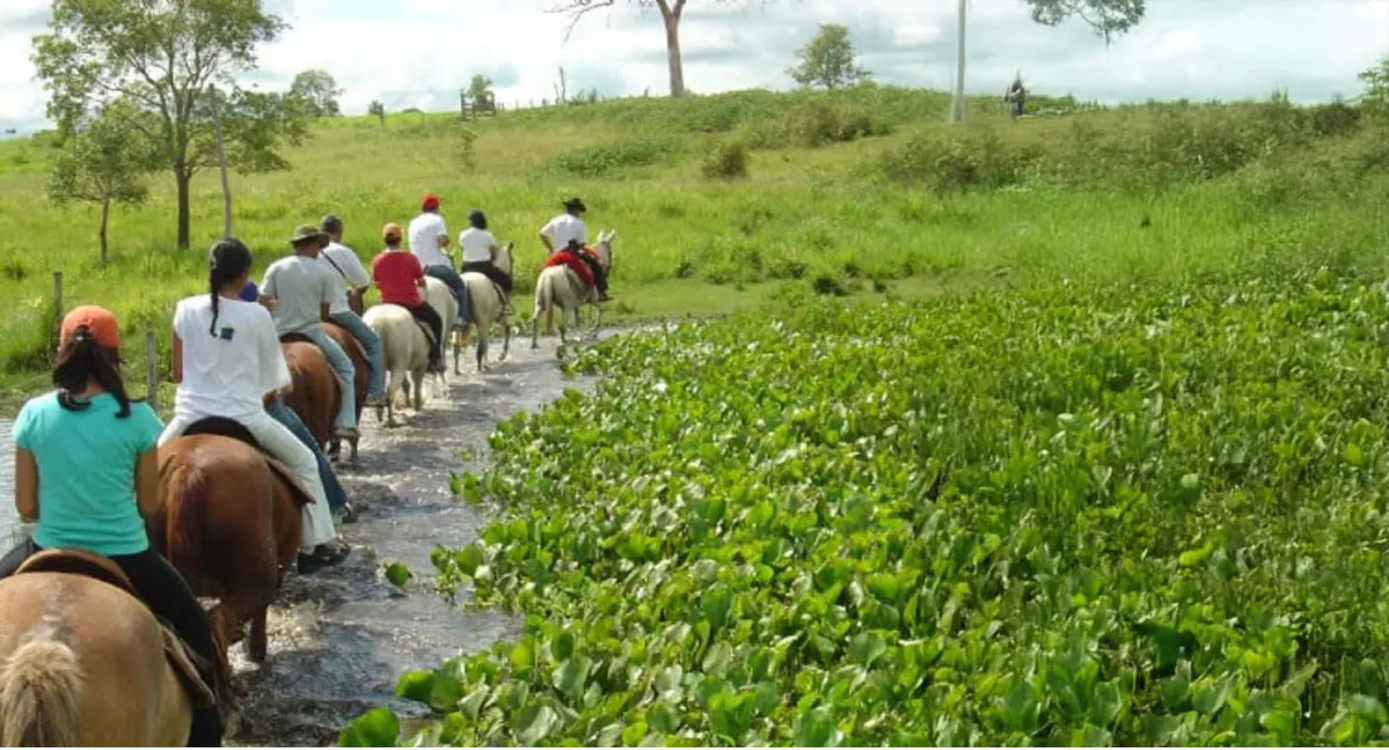 Turismo rural passa a ser reconhecido oficialmente em Rondônia