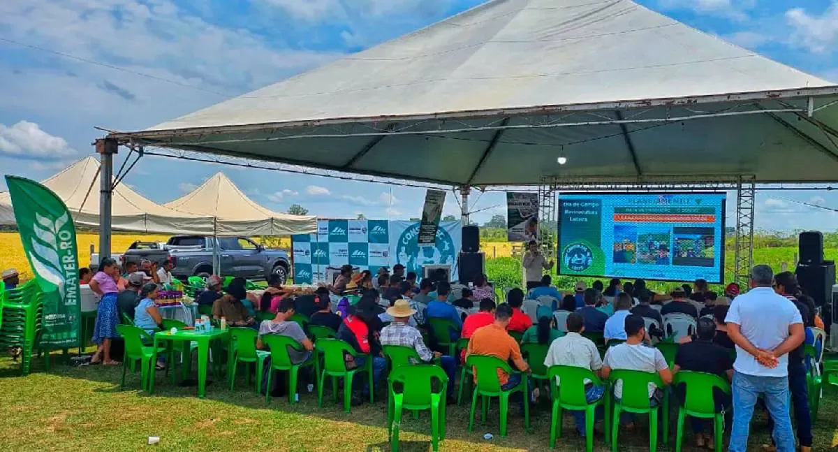 Bovinos de leite em Rondônia ganham produtividade com apoio técnico da Emater-RO