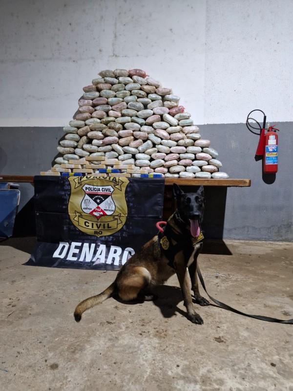 Polícia Civil apreende 155 kg de drogas em ação do Denarc em Rondônia