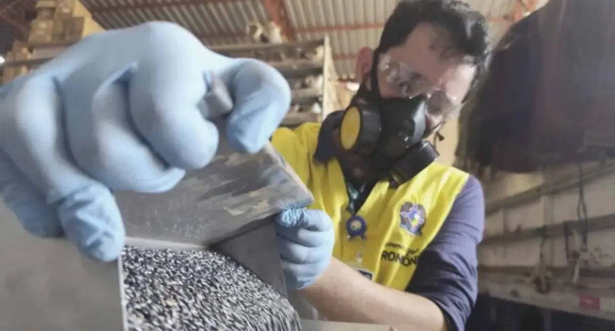 Governo de Rondônia intensifica fiscalização para combater fraudes na venda de sementes