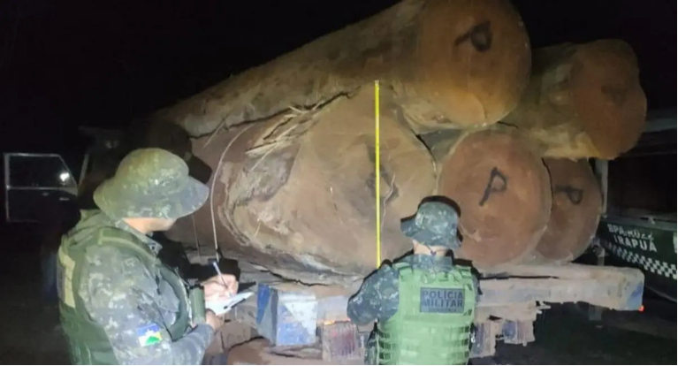 Operação apreende 160m³ de madeira ilegal