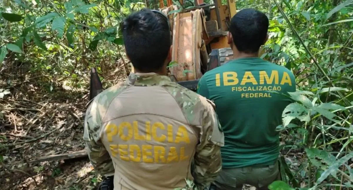 PF e Ibama desativam serrarias ilegais em terra indígena de Rondônia