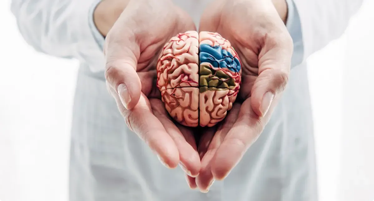 Processo seletivo neuropisicólogo