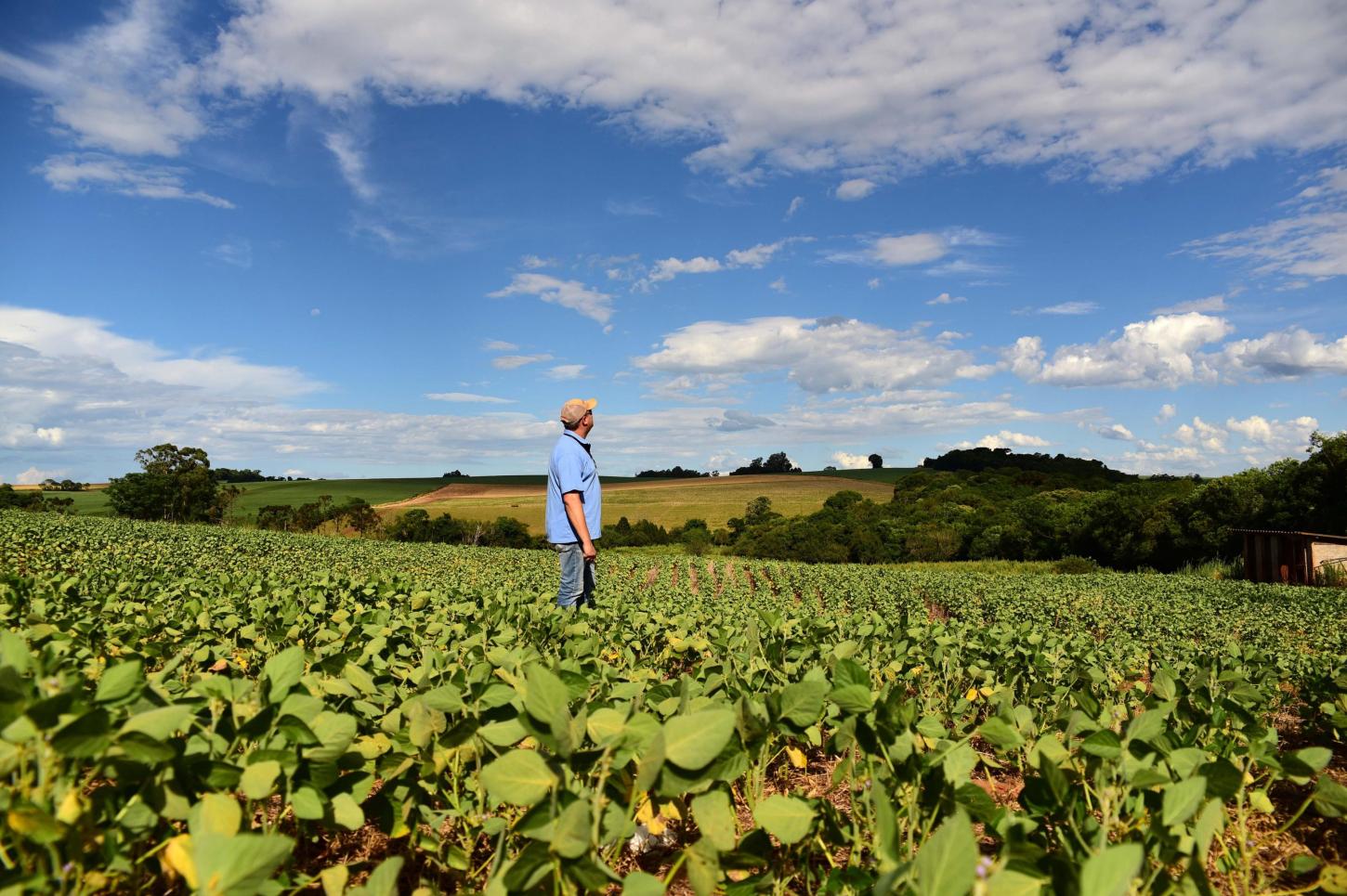 Cinco municípios de Rondônia são habilitados para renegociação de dívidas agrícolas