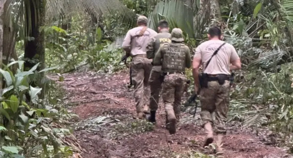 PF, Funai e Ibama realizam ação contra desmatamento em Terra Indígena de Rondônia