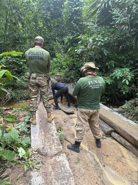 Operação combate crimes ambientais na fronteira de Rondônia